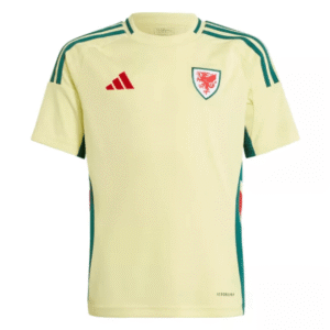 Wales Away Shirt 2024