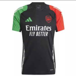 Arsenal Pre Match Training Top – European