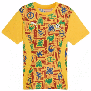 Ghana Pre Match Training Top