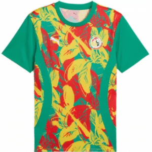 Senegal Pre Match Training Top